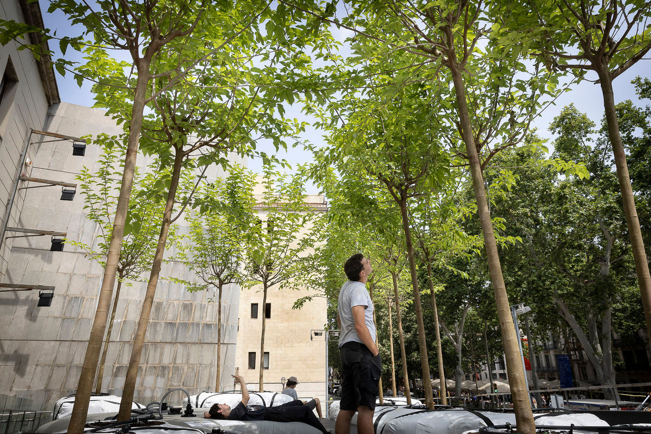 Refugi climàtic 2025