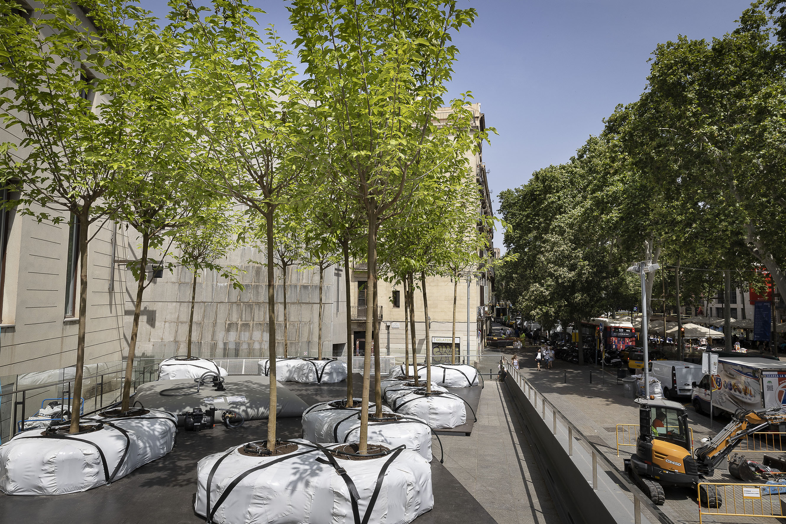 La terrassa del Santa Mònica, refugi climàtic