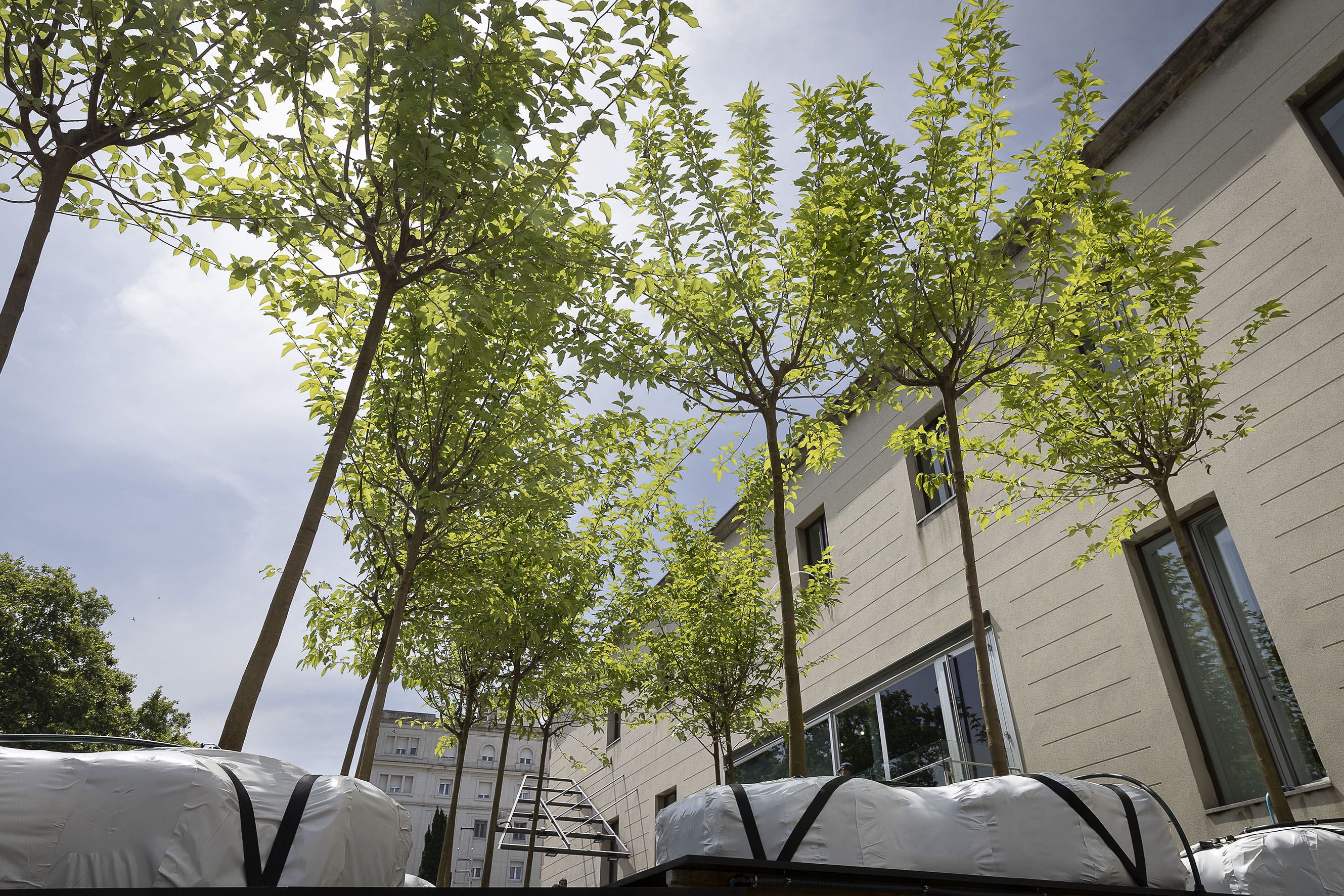 La terrassa del Santa Mònica, refugi climàtic