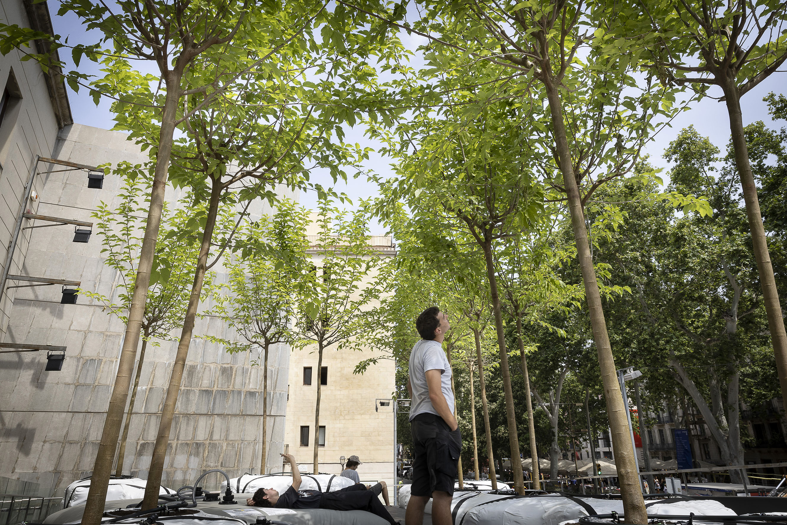 La terrassa del Santa Mònica, refugi climàtic